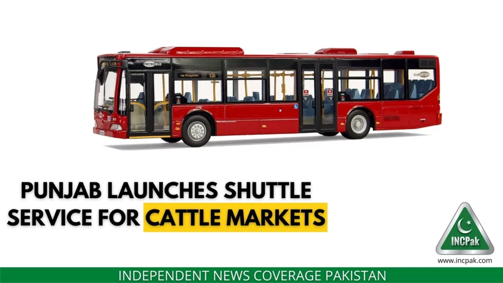 Shuttle Service Cattle Market, Punjab Shuttle Service, Cattle Markets