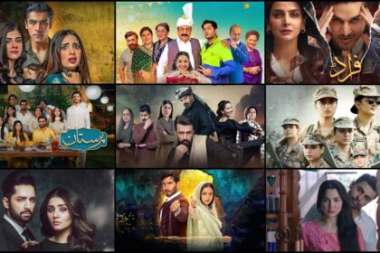 Top Pakistani Dramas 2022