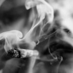 Gold Leaf Price in Pakistan Cigarette Price in Pakistan