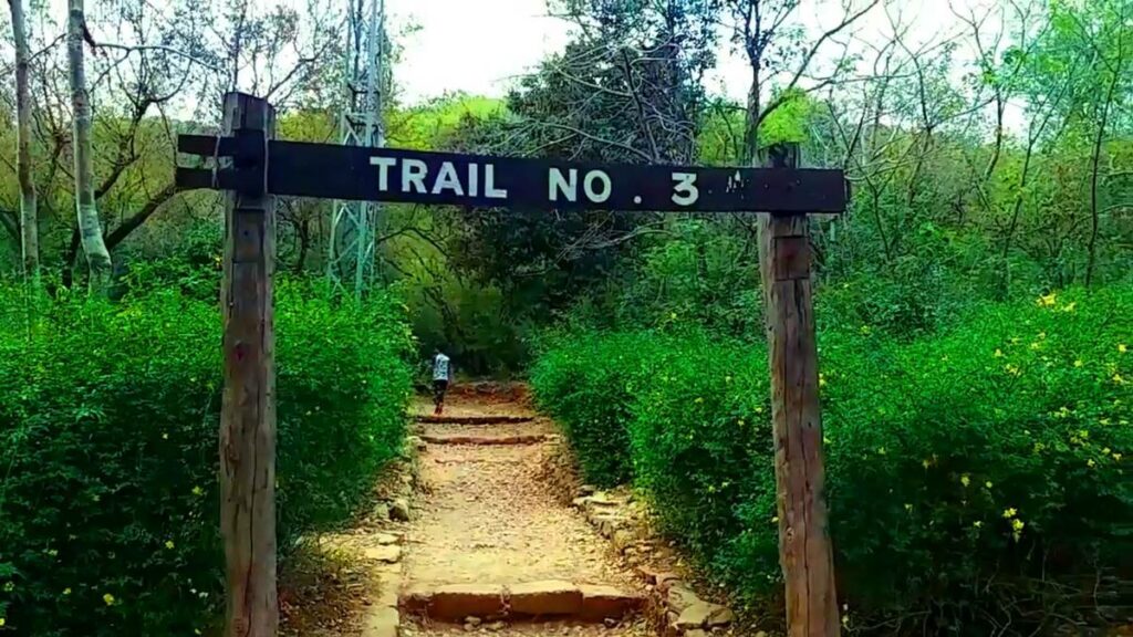 Islamabad Trail 3 Rape Case, Islamabad Trail 3 Rape