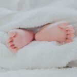 UAE Surrogacy Laws UAE Surrogacy