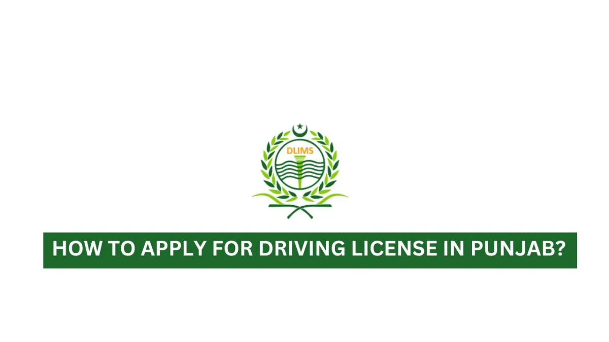 Driving License Punjab, Punjab Driving License, How to Apply for Driving License in Punjab