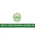 Driving License Punjab Punjab Driving License How to Apply for Driving License in Punjab