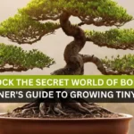 Unlock the Secret World of Bonsai A Beginners Guide to Growing Tiny Trees