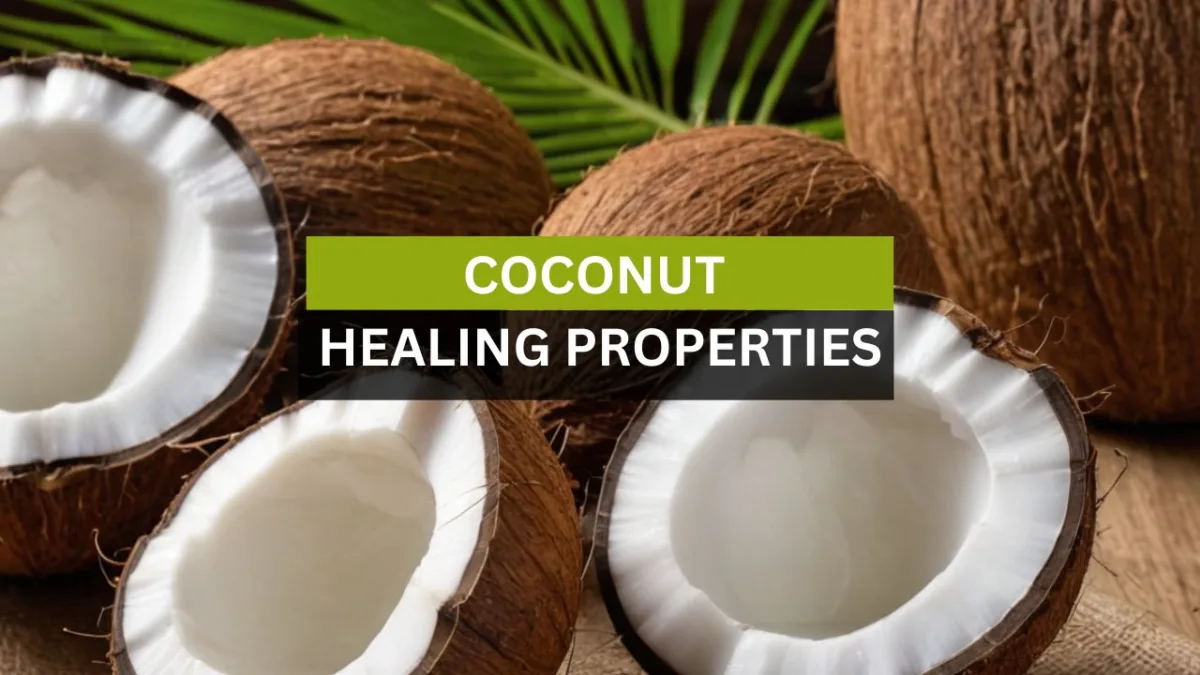 Coconut Healing Properties