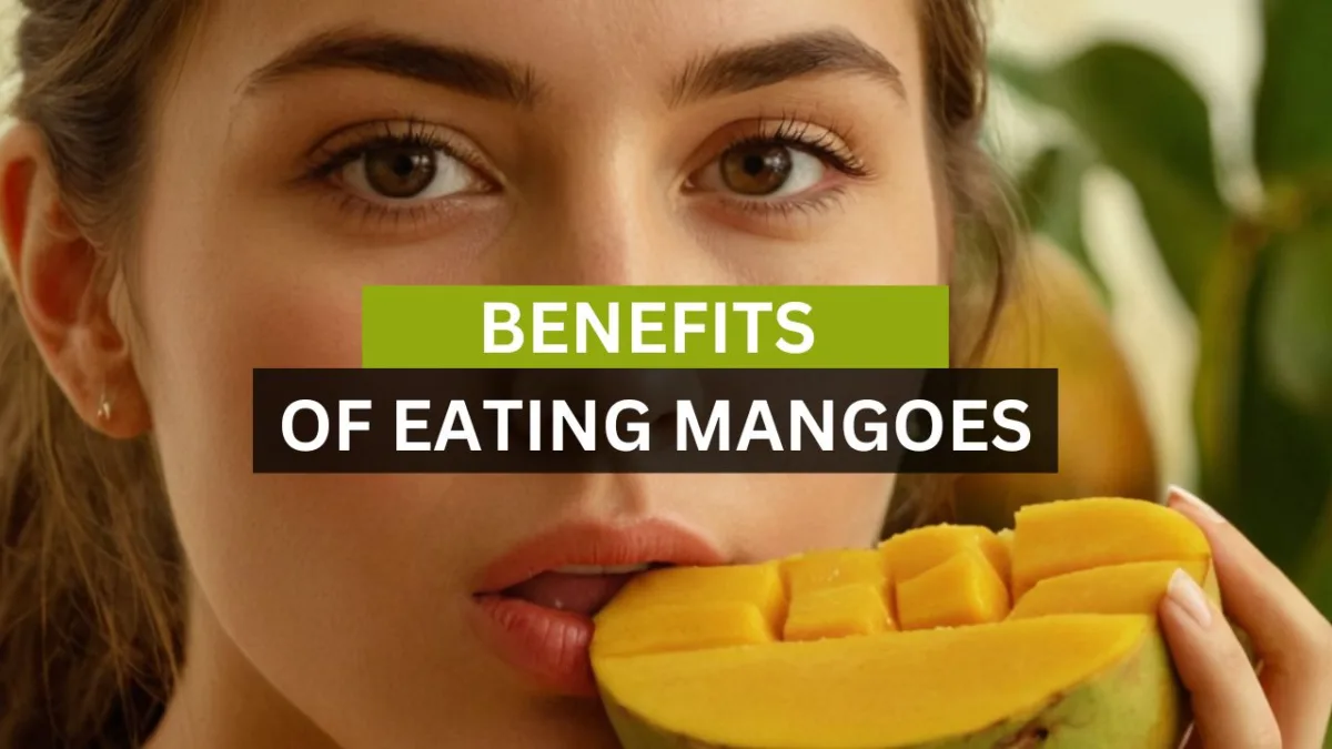 Benefits of eating Mangoes