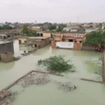 PM Shehbaz Announces Relief Package for Rain Hit Gwadar