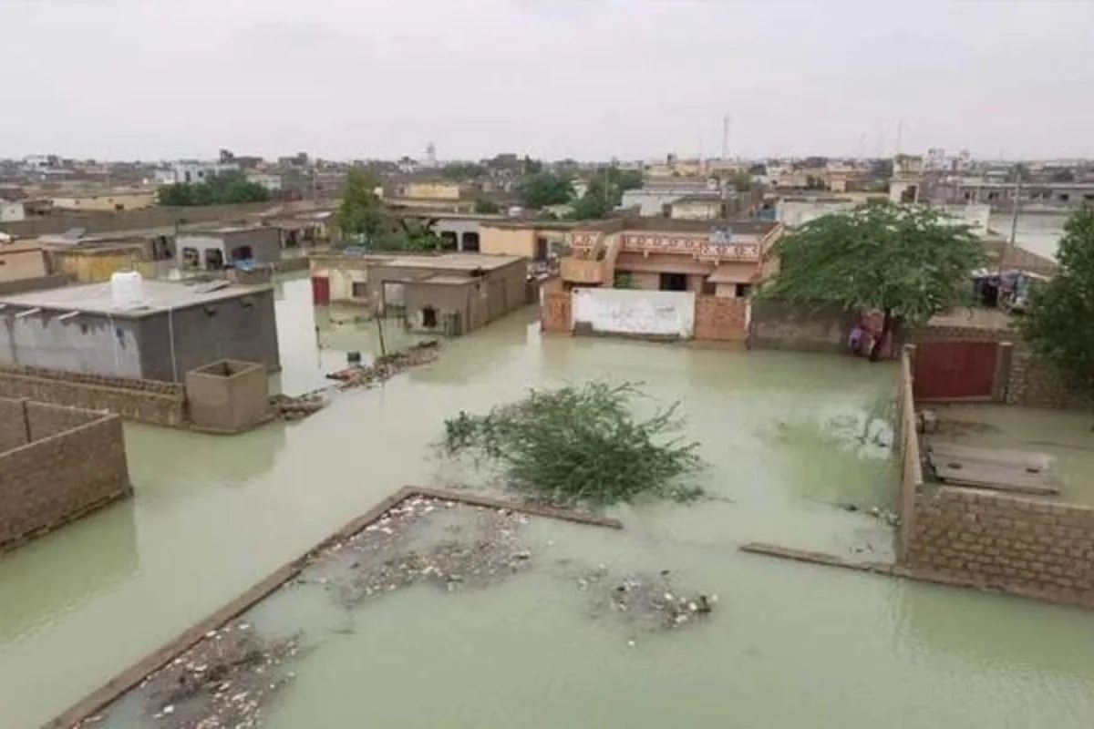 PM Shehbaz Announces Relief Package for Rain-Hit Gwadar