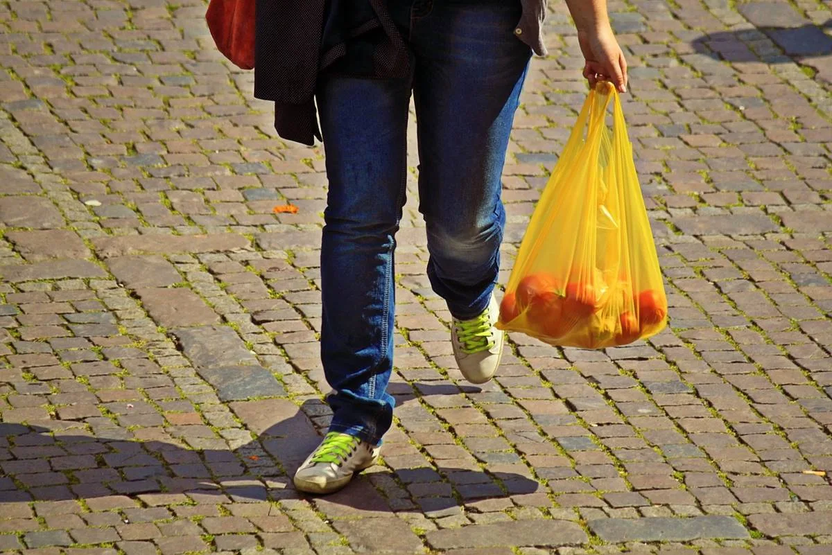 Dubai Bans All Single-Use Plastic Bags From June 1