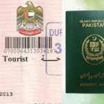 UAE 30 Day Visa Fee for Pakistani Citizens   June 2024