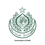 Sindh Govt Follows Punjabs footsteps Launches Air Ambulance Service