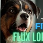 Top 5 Useful LoRAs for Realistic Photos with Flux