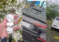 Hailstorm Devastates Islamabad and Rawalpindi Causing Widespread Damage