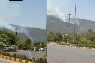 Wildfire Erupts in Margalla Hills Near Saidpur Village