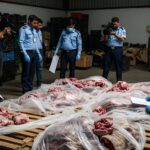 Islamabad Food Authority officials conduct major raid seizing 1 ton of donkey meat in Tarnol area   AI generated Image
